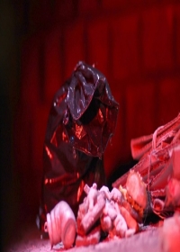 A Brightening Life Japanese english subbed