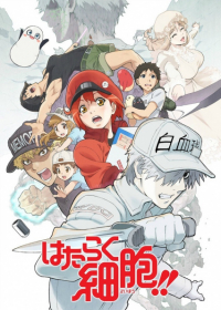 Hataraku Saibou!! Japanese english subbed