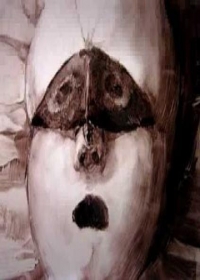 Yoru no Hi Japanese english subbed