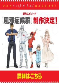 Hataraku Saibou: Kaze Shoukougun Japanese english subbed